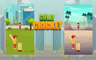 Gully Cricket game cover