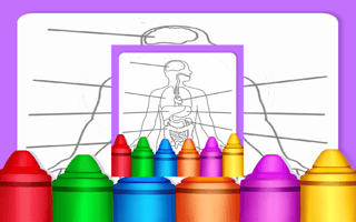 Hard Body Coloring For Kids game cover