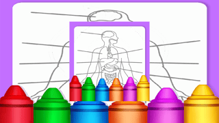 Hard Body Coloring For Kids