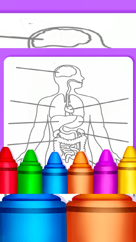 Hard Body Coloring For Kids