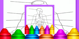 Hard Body Coloring For Kids thumbnail