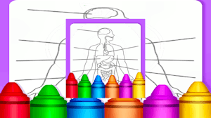 Image for Hard Body Coloring For Kids