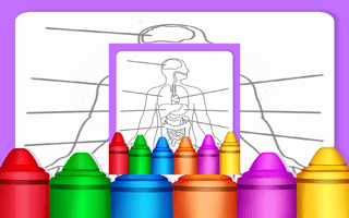 Hard Body Coloring For Kids  game cover