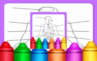 Hard Body Coloring For Kids game cover