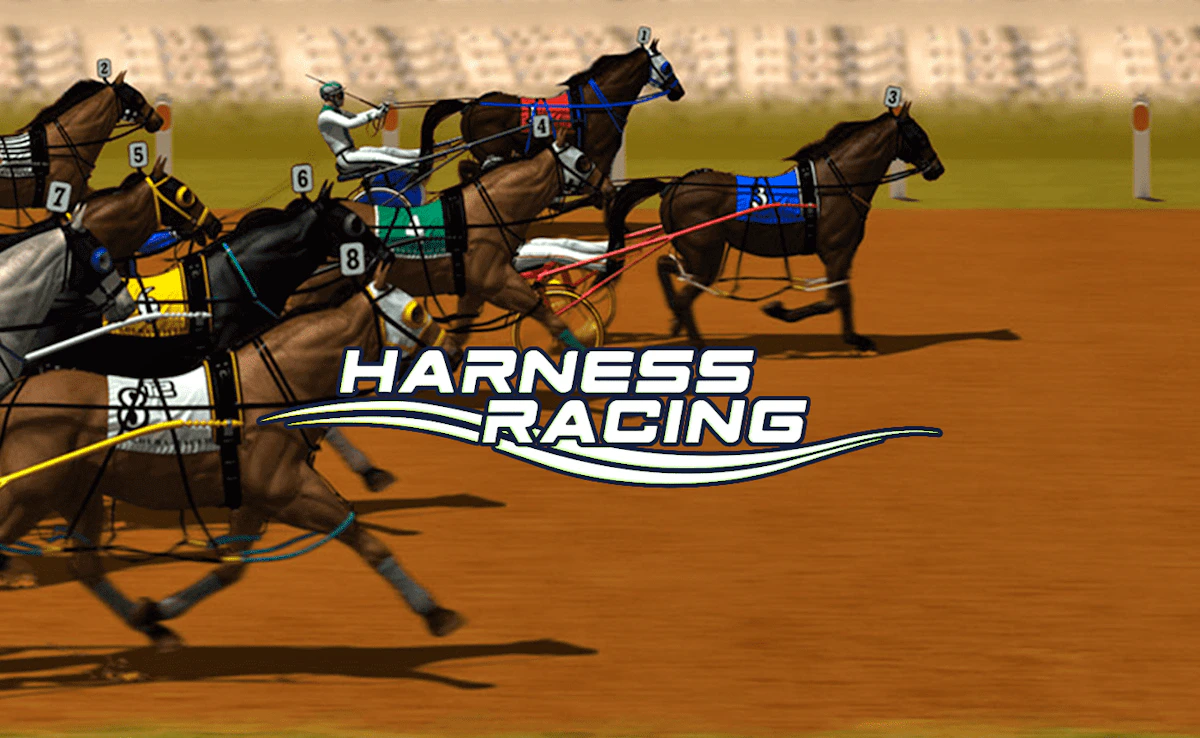 Play Harness Racing — free online Sports game