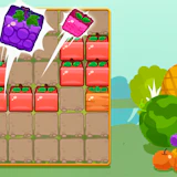 Harvesting Veggies