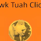 Hawk Tuah Clicker
