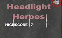 Headlight Heroes