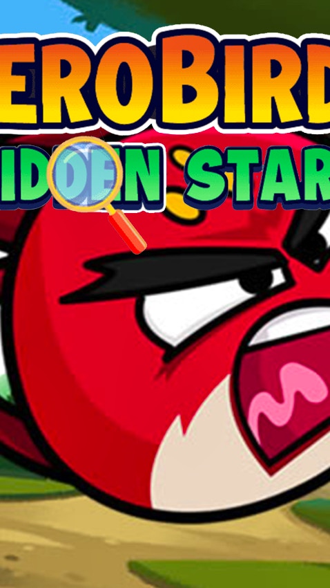 Hero Birds Hidden Stars
