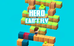 Hero Can't Fly
