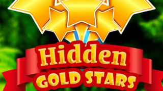 Hidden Gold Stars game cover