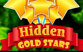 Hidden Gold Stars game cover