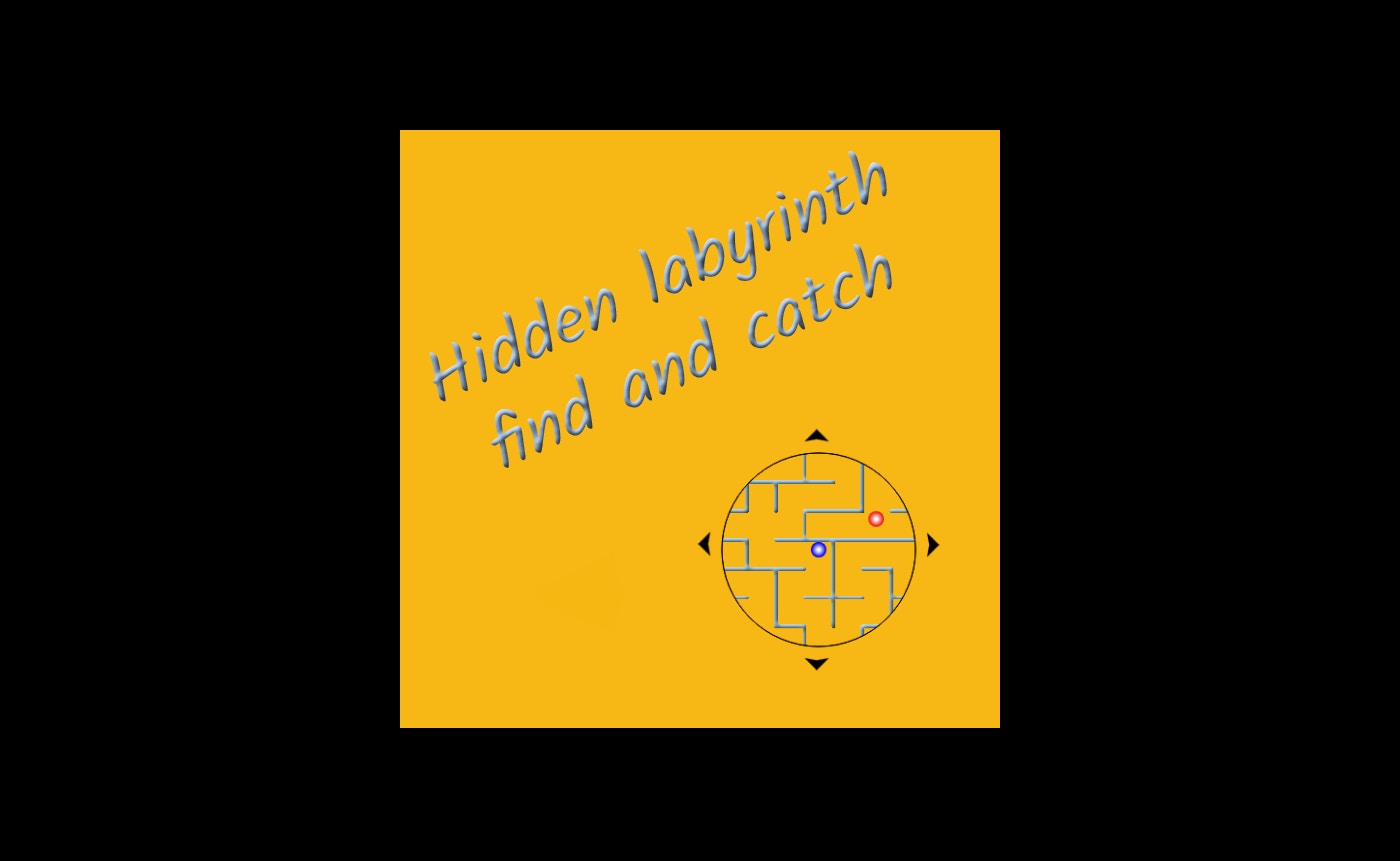 Hidden labyrinth - find and catch