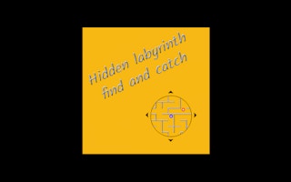 Hidden Labyrinth - Find And Catch