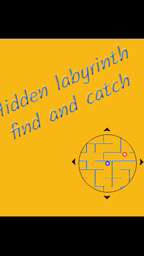 Hidden labyrinth - find and catch