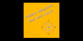 Hidden labyrinth - find and catch thumbnail
