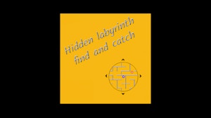 Image for Hidden labyrinth - find and catch