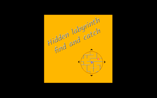 Hidden Labyrinth - Find And Catch