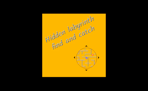 Hidden labyrinth – find and catch
