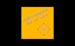 Hidden labyrinth - find and catch