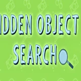 Hidden Object Search