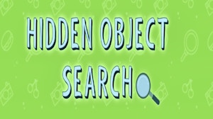 Image for Hidden Object Search