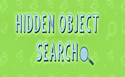 Hidden Object Search