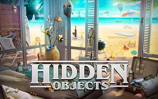 Hidden Objects: Brain Teaser game cover