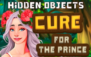 Hidden Objects Cure For The Prince