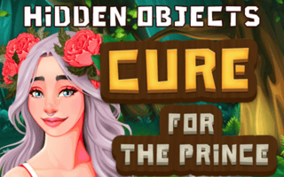 Hidden Objects Cure For The Prince game cover