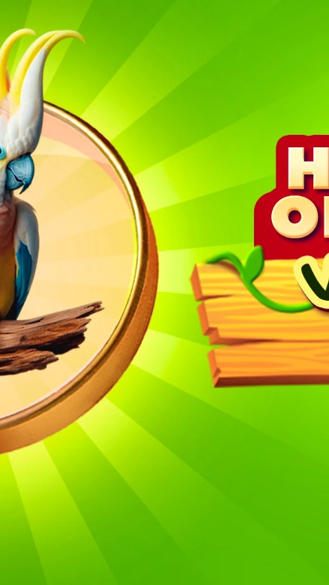 Hidden Objects Vacation in Brazil