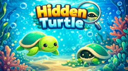 Hidden Turtle