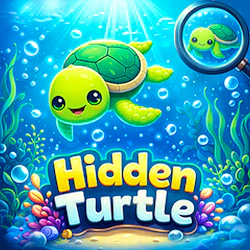 Hidden Turtle