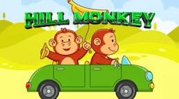 Hill Monkey