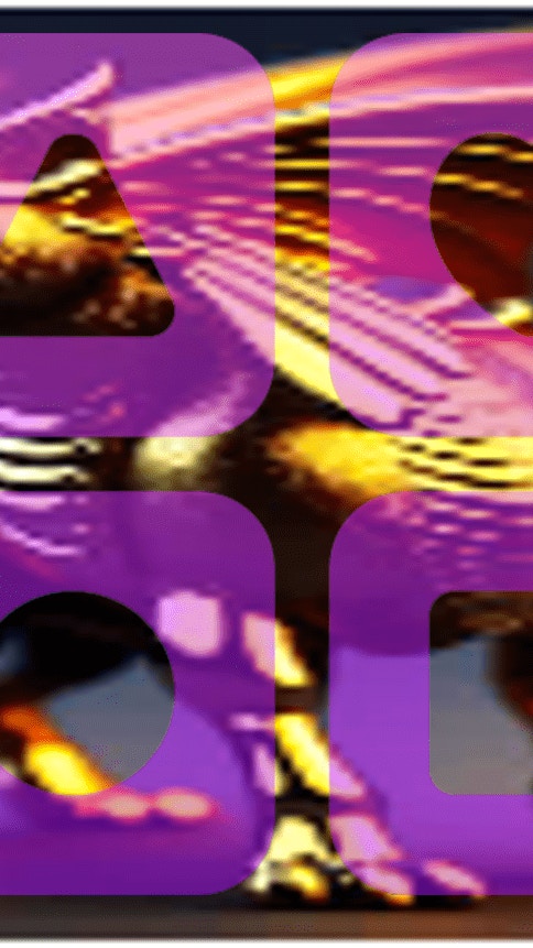 Hippocampus Memory Match