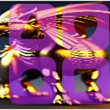 Hippocampus Memory Match