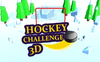 Hockey Challenge 3D