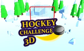 Hockey Challenge 3D