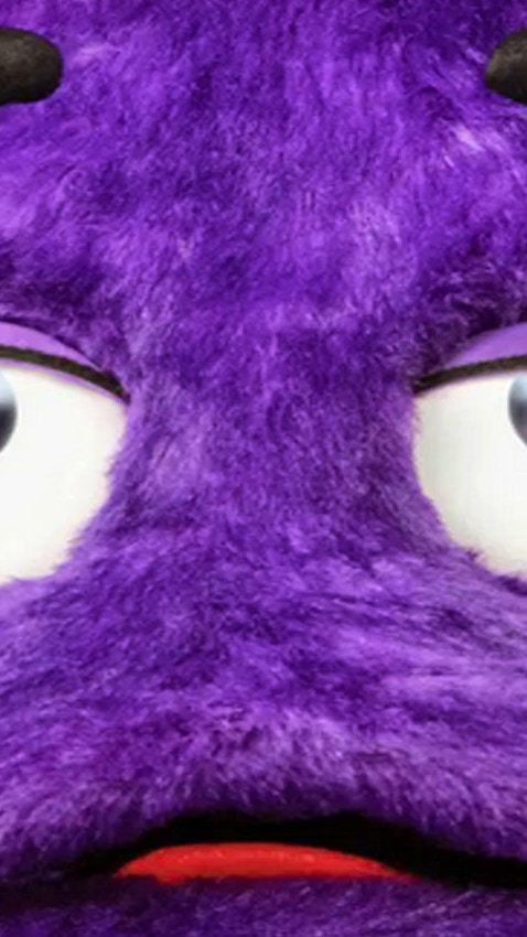 Horror Grimace Burn or Die