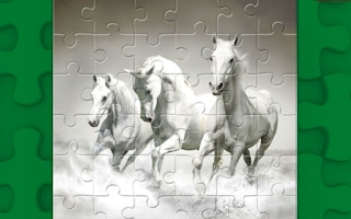 Horses Puzzle