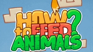 How To Feed Animals