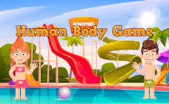 Human Body Game
