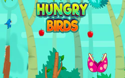 Hungry Birds