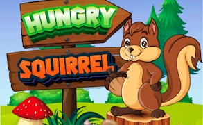 Hungry Squirrel