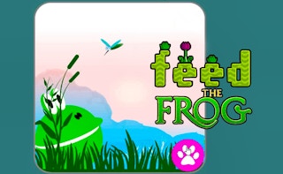 Hunt - Feed The Frog game cover