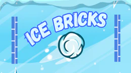 Ice Bricks