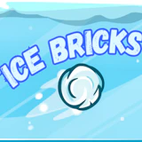 Ice Bricks