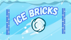 Image for Ice Bricks