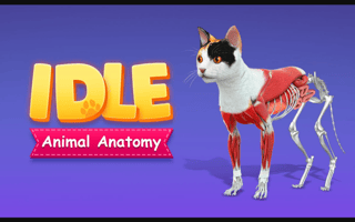 Idle Animal Anatomy game cover