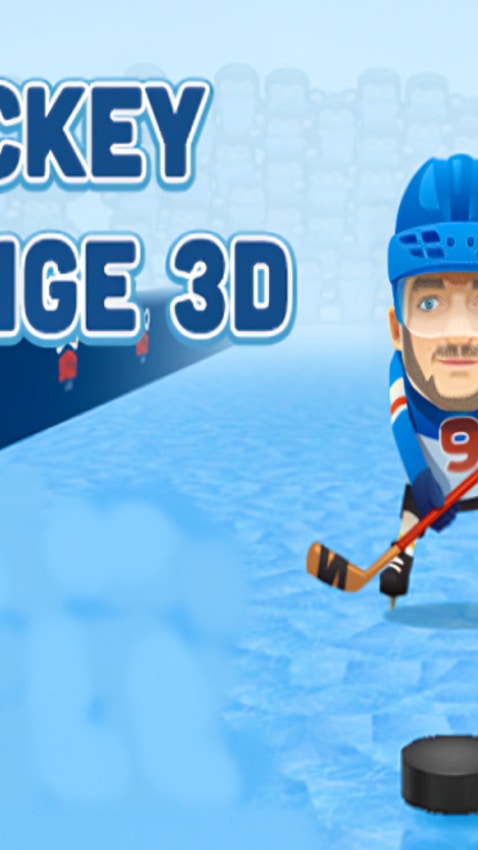 Idle Hockey Challenge 3D Pro